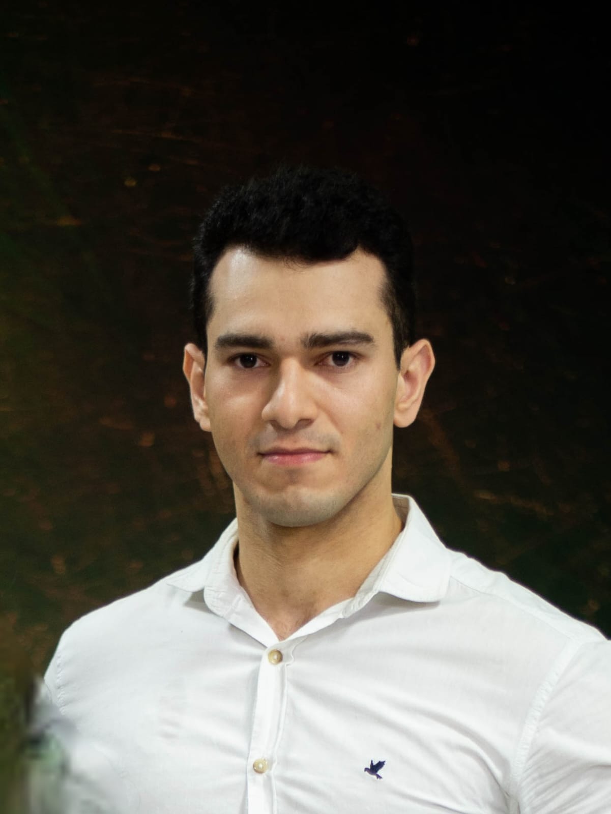 Pedro Meneses